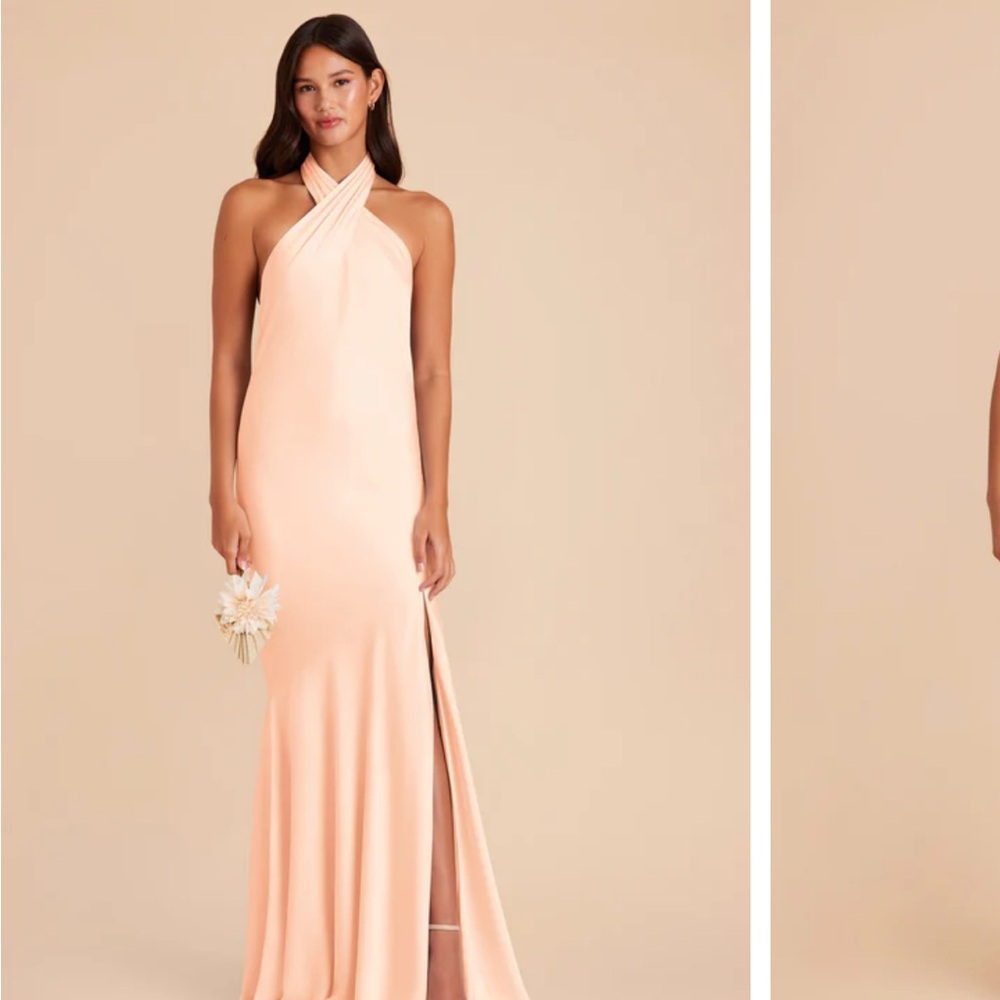 Birdy Grey Stephanie Dress in Peach Cream
